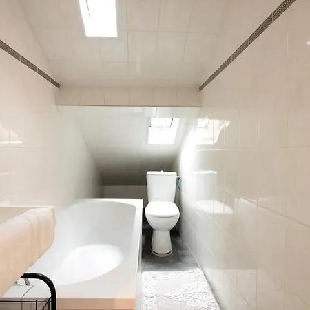Grenier Du 100 M Du Appartement