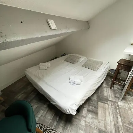 Grenier Du 100 M Du Appartement *